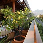 Victoria Tirana